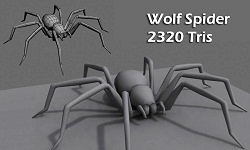 Wolf spider model untextured and wireframe views.